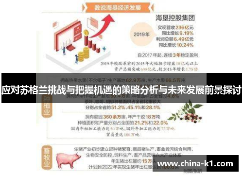 应对苏格兰挑战与把握机遇的策略分析与未来发展前景探讨