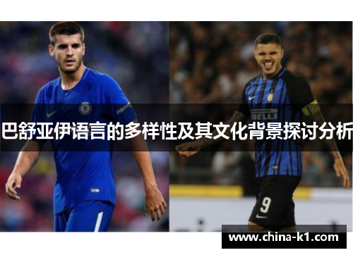 巴舒亚伊语言的多样性及其文化背景探讨分析