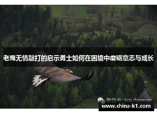 老鹰无情敲打的启示勇士如何在困境中磨砺意志与成长
